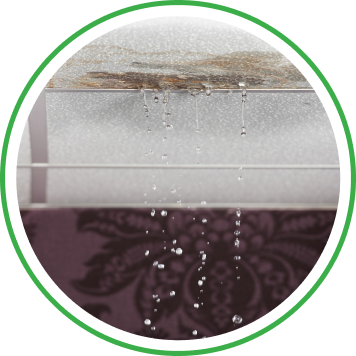 Leak Detection Services in Burien, WA